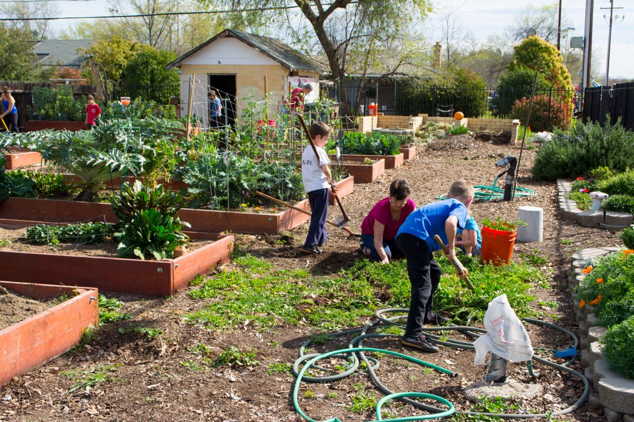 Lincoln Community Garden – Lincoln Hills Garden Group