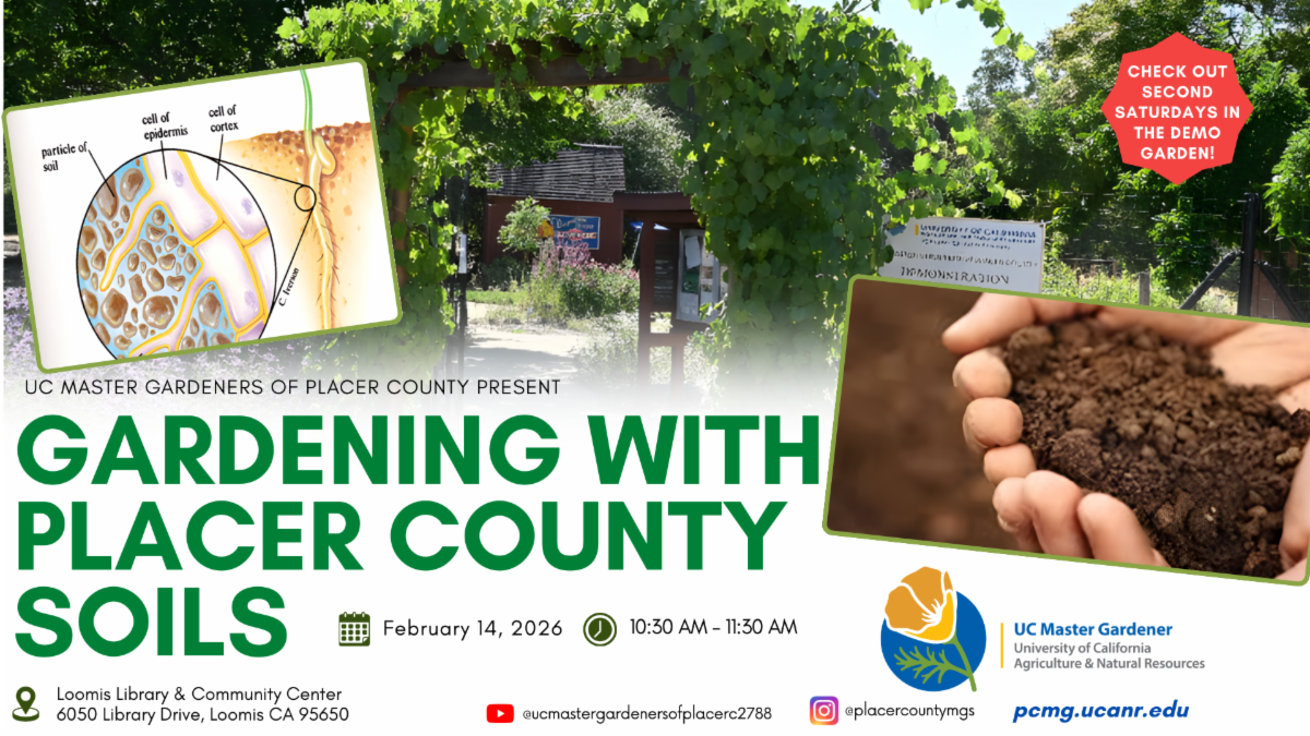 Gardening with Placer County Soils - February 14 2026