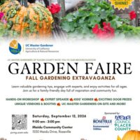Garden Faire - September 12 , 2026
